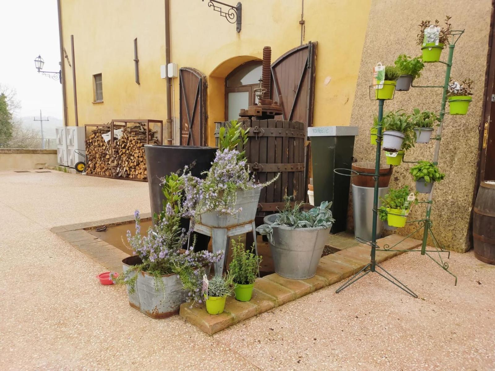 Locanda Di Casigliano Villa Casigliano  Esterno foto